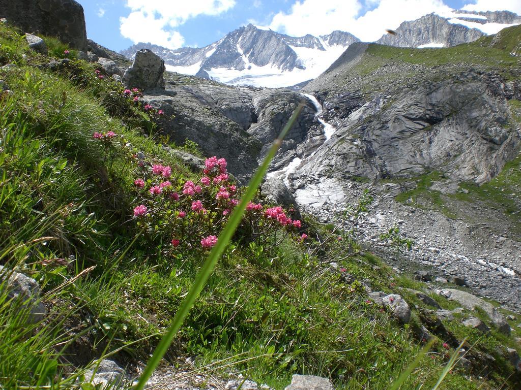 Hotel Garni Erler Mayrhofen Buitenkant foto